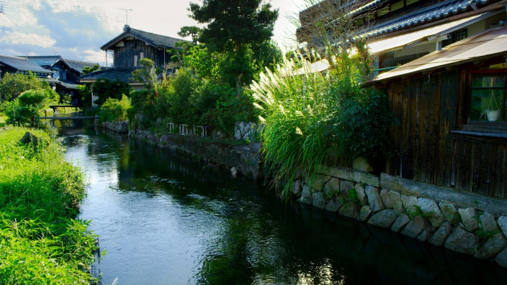 2逕滓ーエ縺ョ驛キ